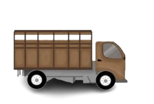 Collection Icon